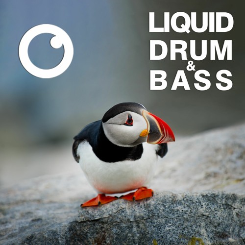 Dreazz: Liquid Drum & Bass Sessions #50 [November.2021]