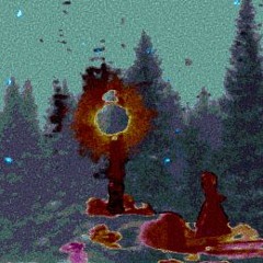 microcosmic wilderness