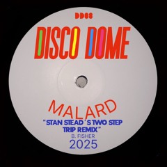 Disco Dome- Malard (2025) (Stan Stead’s Two Step Trip)