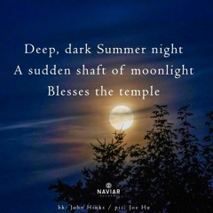 Deep, dark summer night [naviarhaiku508]