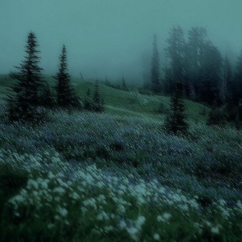 SSGKobe- Why Are You Scared *Stupidppl Mix*