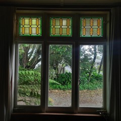 Sitting On The Couch Looking Out The Window