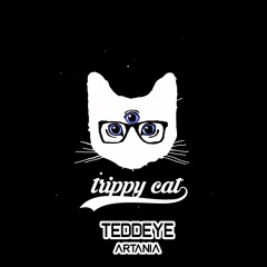 Teddeye - More Than Friends[Original Mix]