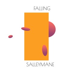 Salleymane - Falling