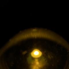 paralyzed parallel - pear___juice