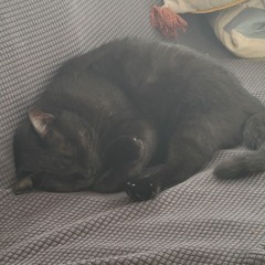 Gran turismo type beat