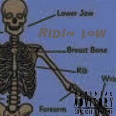 RIDIN LOW(PROD.FKWT)