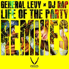 Life Of The Party Mix
