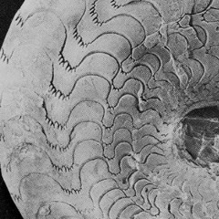 Mountain System Research 141022