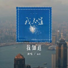 初月 - 我知道（原唱：BY2）「我知道你还是爱着我，虽然分开的理由 我们都已接受」(4k Video)【動態歌詞/pīn yīn gē cí】#初月 #我知道 #BY2 #動態歌詞