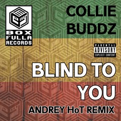 Collie Buddz - Blind to You [Andrey HoT remix] [FREE DOWNLOAD]