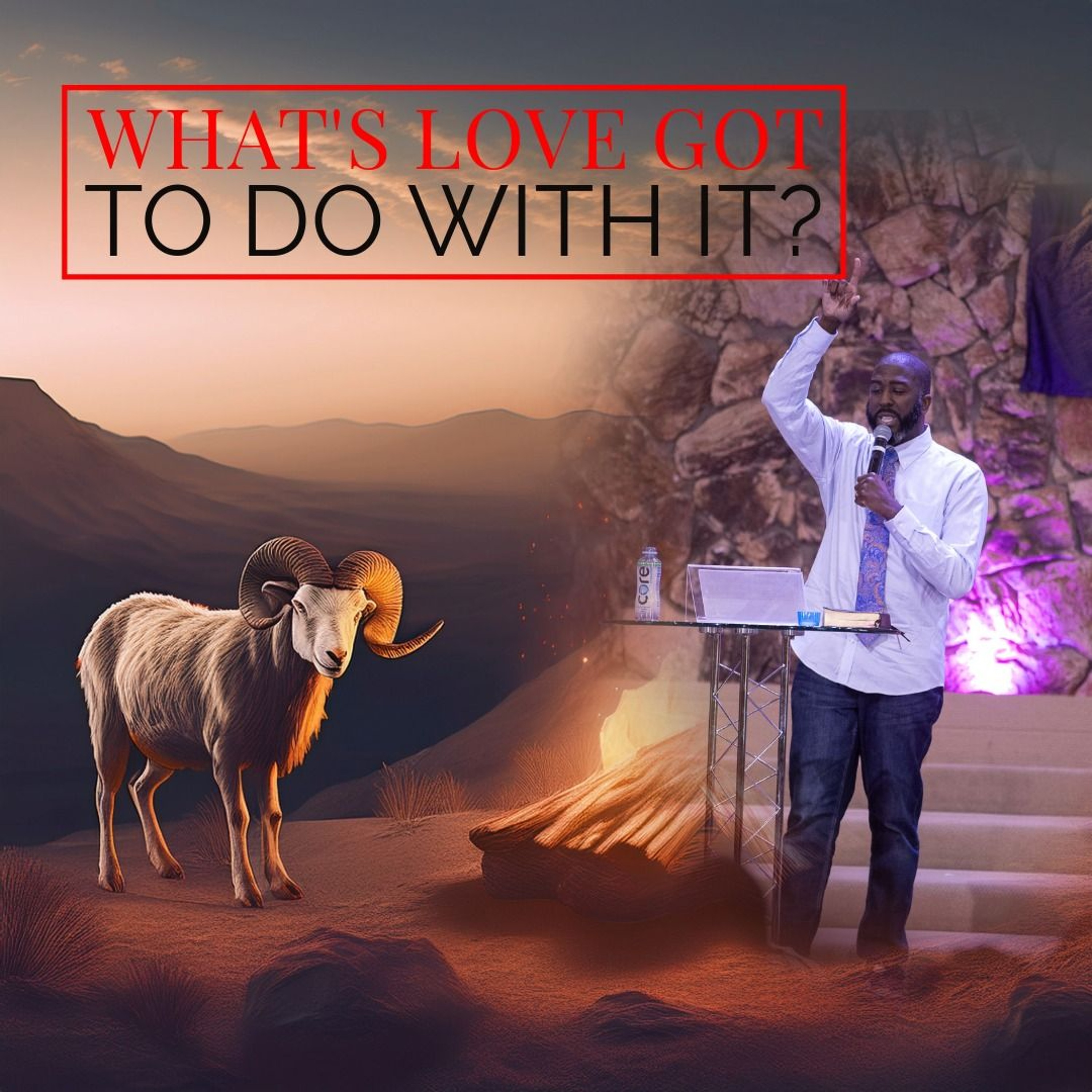 What's Love Got To Do With It? 8-31 episode artwork