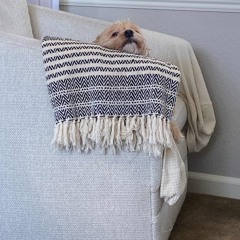 Yuh (Prod lil Mexico)