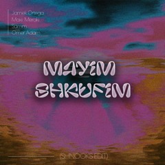 Don't Care Anymore - Mayim shkufim (Omer Adam) Shnooks edit