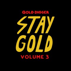 Steji - Back To The Beat [Gold Digger]