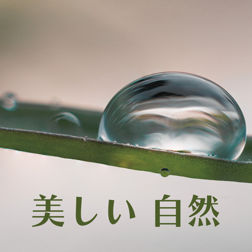 水の音