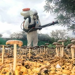 07 - Stephan Bodzin - Kerosene