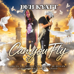 Can You Fly - Deh Kyatt