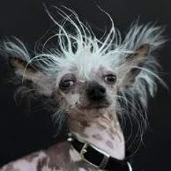 Beto&Beat - Td0gl0cKd0wN