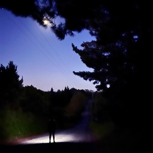 Summer forms - disquiet0585 Video here - https://youtu.be/cEbYttvD58g
