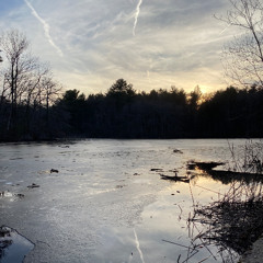 twilight