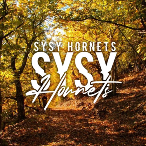 Stream Sysy Ft Blackflays Meilleure Amie Hornets Remix Zouk 21 By Sysy Officiel Listen Online For Free On Soundcloud