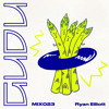 GuduMix 023: Ryan Elliott DJ mix artwork - Electronic music tracklist cover image