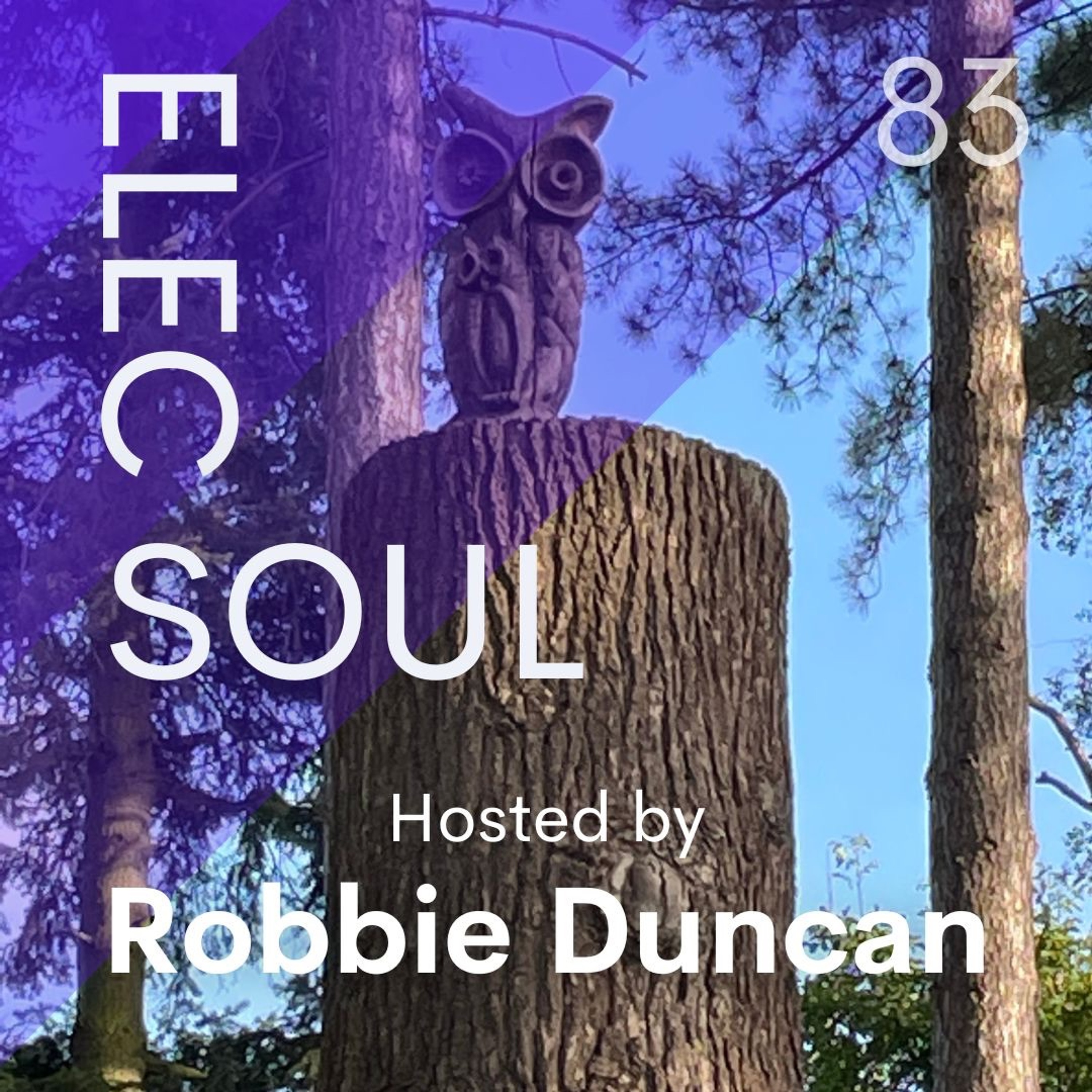 ElecSoul