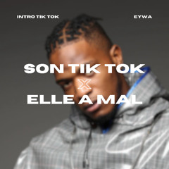 INTRO TIK TOK X ELLE A MAL (EYWA EDIT) FILTERED DUE TO COPYRIGHTS