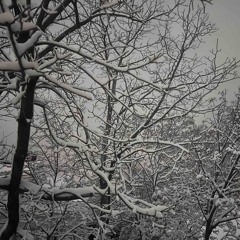 Correct Me If I'm Wrong_V1demo