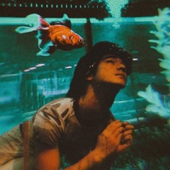 Project2h (=) Devilnight