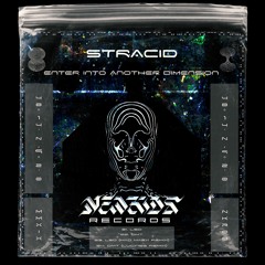 LEHMANN REVEALED: STRACID - DMT (Original) - NewKids Records