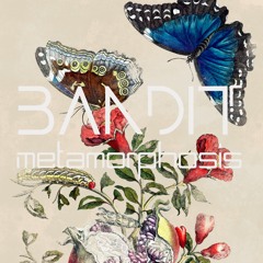 Bandit - Metamorphosis 2022