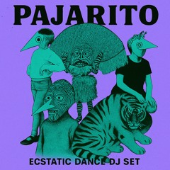 Ecstatic Dance DJ Set – Pajarito (Organic House • Tribal Beats • Downtempo Journey)