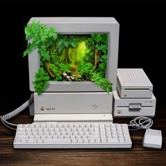Rainforest 3D