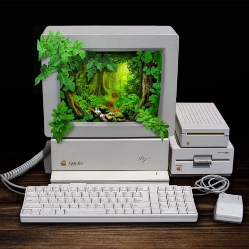 Rainforest 3D
