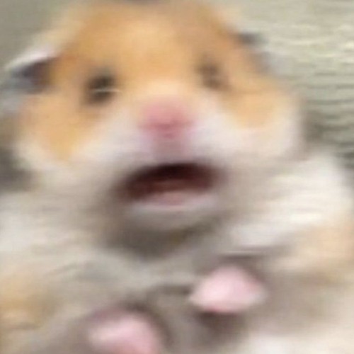 IT'S FOCKIN SPOOKY MONTH!!!!!