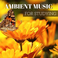 Lookin' for Calm Water