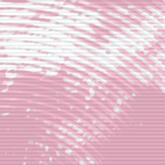 Trap dream in Eb major