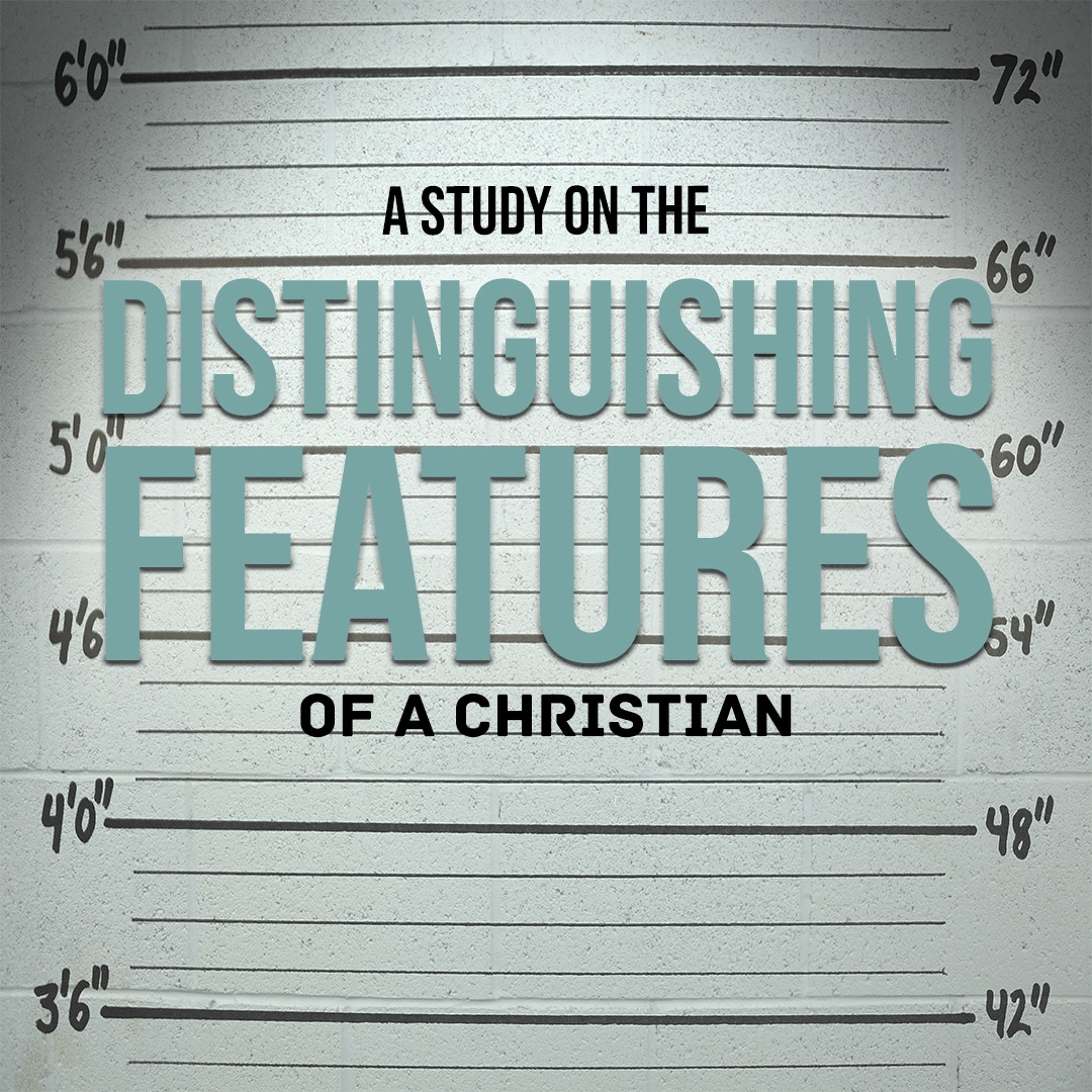 Distinguishing Features | Hope episode artwork