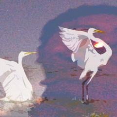 garza