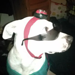 Actors With Zero Haters - 15 Actors That Died on Set