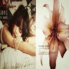 Majestic prod stedryy