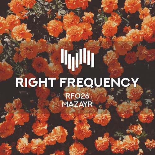 RF026 - Mazayr