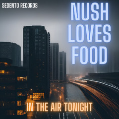 Nush Loves Food - In the air tonight