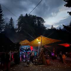 NilzPilz@WILDWOOD Festival 2025 Saturday Closing