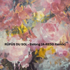 RÜFÜS DU SOL - Belong (A-REDD remix)