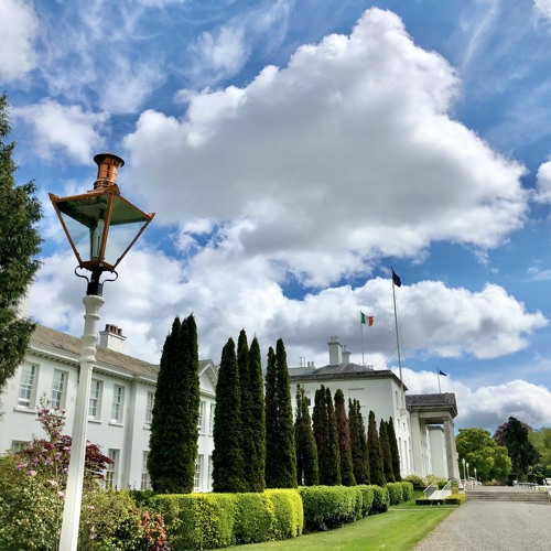 Stream President hosts a screening of “The Great Green Wall