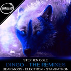 DR136 Stephen Cole - Dingo (Bear Moss Remix)