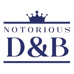 One Thing (Notorious D&B Vol 4)